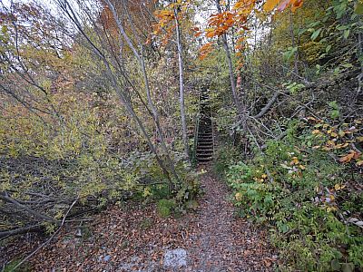 ... überwinden eine steile Stahltreppe.