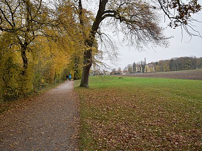 Kurz vor Stegen wird der Weg wieder komfortabler
