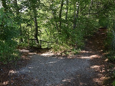 Hier steigen wir links ins Kiental ab