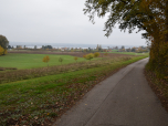 Durch Wald und über Wiesen wandern wir weiter Richtung Breitbrunn