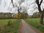 Auf der Bucher Allee erreichen wir Buch