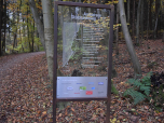 ... den Ammersee Skulpturenweg (2014 - 2019).