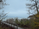Immer wieder zweigen Stege durch den Uferbewuchs zum Ammersee ab