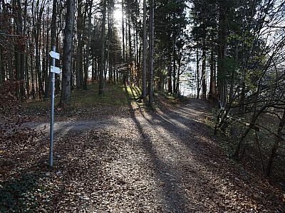 Auf einer Anhöhe führt uns der Weg nach Pähl