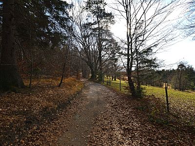 Bequem wandern wir im Halbschatten weiter nach Süden