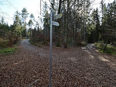 Hier zweigen wir nach rechts zur Hartkapelle ab