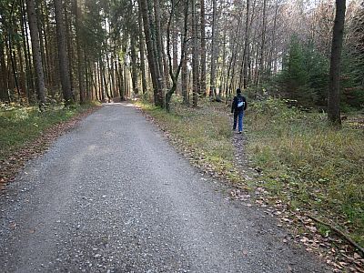 Hier zweigt nach rechts ein kleiner Pfad ab, ... 