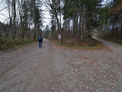 Wir bleiben auf dem linken Weg