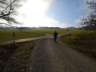 Nach dem Wald biegen wir rechts ab