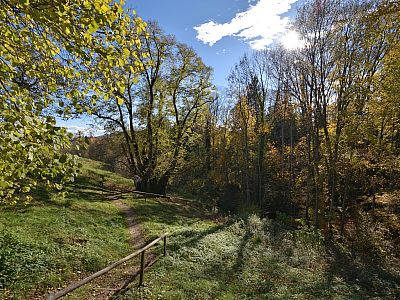 Unter der Tassilo-Linde hatte Tassilo III....