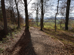 Kurz vor Pähl lichtet sich der Wald