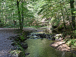 Wir folgen dem Maisinger Bach flussaufwärts