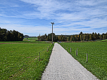 Bequem wandern wir auf dem Schotterweg durch die Weiden