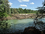 Blick auf zahlreiche angeschwemmte Bäume am westlichen Isarufer