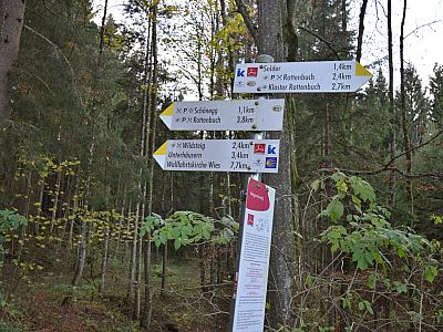 Kurz tauchen wir 2.4 km vor Wildsteig in den Wald ein