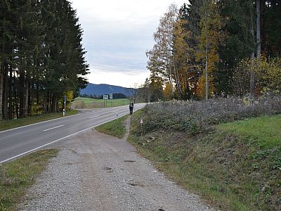 An der Bundesstraße halten wir uns rechts und wandern weiter auf dem Trampelpfad