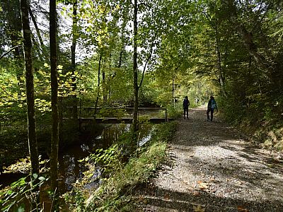 Entlang des Haareckbachs spazieren wir weiter Richtung Steingaden