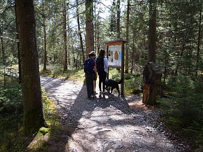 Tafeln informieren uns über das Moos
