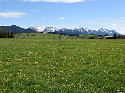 Hochplatte, Branderschrofen und Säuling prägen im Süden das Panorama