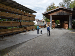 ... erreichen durch das Sägewerk die Welfenstraße