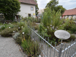 Der Kräutergarten des Welfenmünster