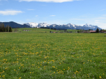 Hochplatte, Branderschrofen und Säuling prägen im Süden das Panorama