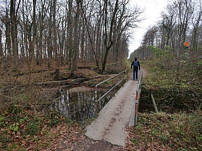 Der Wald links zum Ufer darf nicht betreten werden