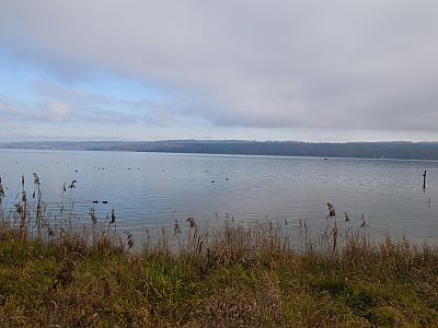 Über den See können wir im Osten den Kirchturm von Andechs sehen