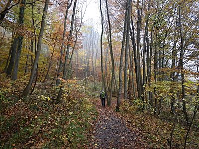 Über den Burglehrpfad ...