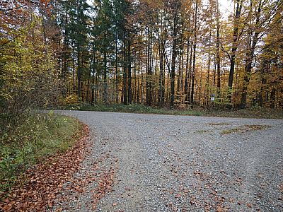 Hier biegen wir links ab...