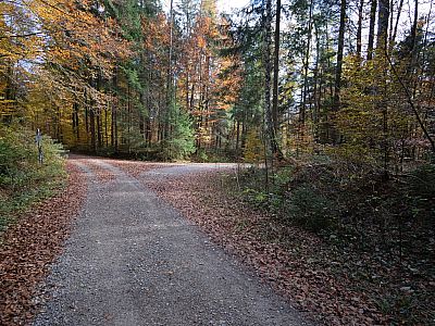 ... und hier wieder rechts.