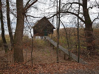 Wir passieren mehrere Bootshäuser