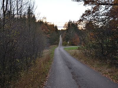 Die nächsten Kilometer geht es geradeaus durch den Wald