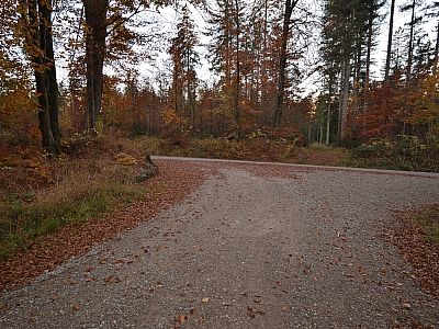 Hier biegen wir links ab