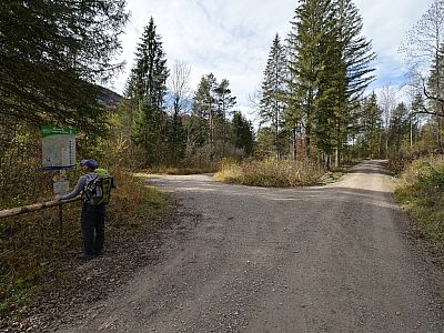 Hier halten wir uns links uns wandern weiter auf dem unteren Weg
