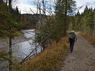 Auf dem zunächst noch breiten Weg marschieren wir ...