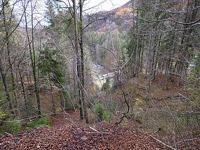 Der Kalkofensteg vom Hochufer aus