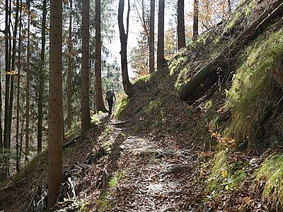 Der Steig schlängelt sich ...