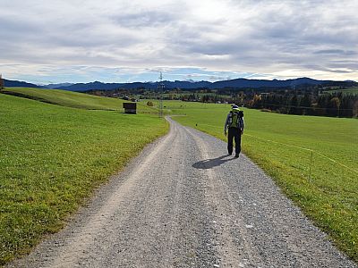 ... und spazieren an Wiesen vorbei weiter auf Rottenbuch zu.