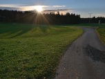 Hier links auf den Wald zuhalten