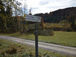 Am Waldhaus Schnalz biegen wir rechts ab
