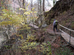 ..., über kleine Brücken durch den Auwald.