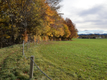 Auf dem kleinen Pfad setzen wir unseren Weg nach Süden fort