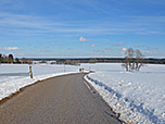 Vom Jasberg wandern wir hinunter...