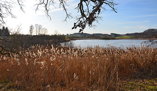 Wanderung von Kirchseeon über den Egglburger See und den Klostersee nach Ebersberg