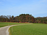 Noch vor dem Wald biegen wir rechts ab...
