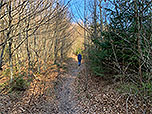 ...und mal schmäleren Waldweg...