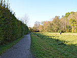 ...und folgen dem Fußweg südwestwärts Richtung Maisinger Schlucht