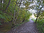 Wir verlassen den lichten Wald...