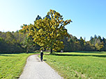...und wandern weiter südwestwärts